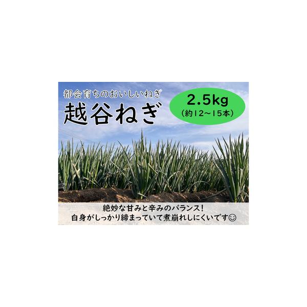 ■ 容量　【内容】　越谷ねぎ　白ねぎ2.5kg　（約12〜15本）　　賞味期限：冷蔵保存にて1週間前後　提供元：越谷ねぎ匠の会■ 配送について　令和7年12月1日〜令和8年3月31日　タイプ：【冷蔵】