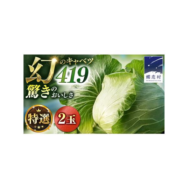 ■ 容量　特選まぼろしの419キャベツ 2玉■ 配送について　2026年7月中旬以降、お申込受付順に発送開始　※419キャベツの生育状況等により前後する場合があります　※配送日の指定はお受けできかねます。予めご了承ください。　※クール便対象...