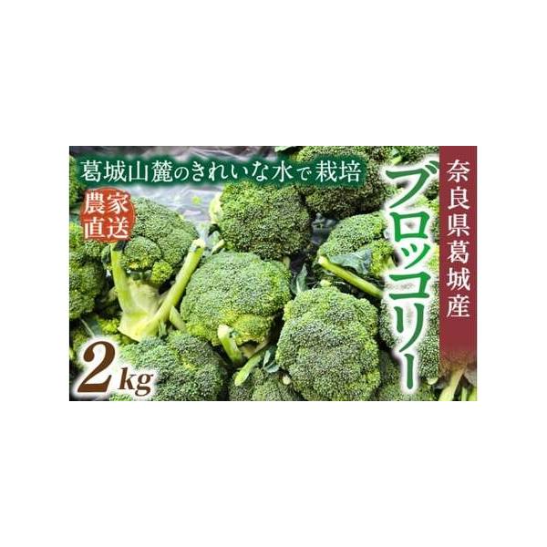■ 容量　【容量】　約2kg　　　【賞味期限】　出荷日から約7日間　　【保存方法】　到着後は冷蔵で保存し、できるだけお早めにお召し上がりください。　※※お受け取り後、すぐに箱の中身をご確認ください。■ 配送について　2025年11月上旬〜5...