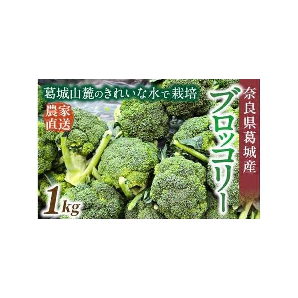 ■ 容量　【容量】　約1kg　　【賞味期限】　出荷日から約7日間　　【保存方法】　到着後は冷蔵で保存し、できるだけお早めにお召し上がりください。　※※お受け取り後、すぐに箱の中身をご確認ください。■ 配送について　2025年11月上旬〜5月...