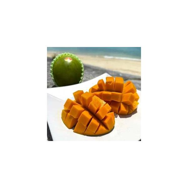 ■ 容量　※上記に記載■ 配送について　2026-08-20〜2026-09-30　タイプ：【冷蔵】