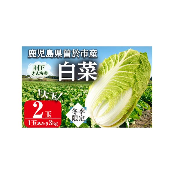 ■ 容量　曽於市産白菜 約3kg×2個■ 配送について　入金確認後、60日以内に発送予定　※お申込みが集中した場合や、年末年始（11月〜翌年2月）を含む繁忙期には、　通常よりもお届けまでにお時間をいただく場合がございます。あらかじめご了承く...