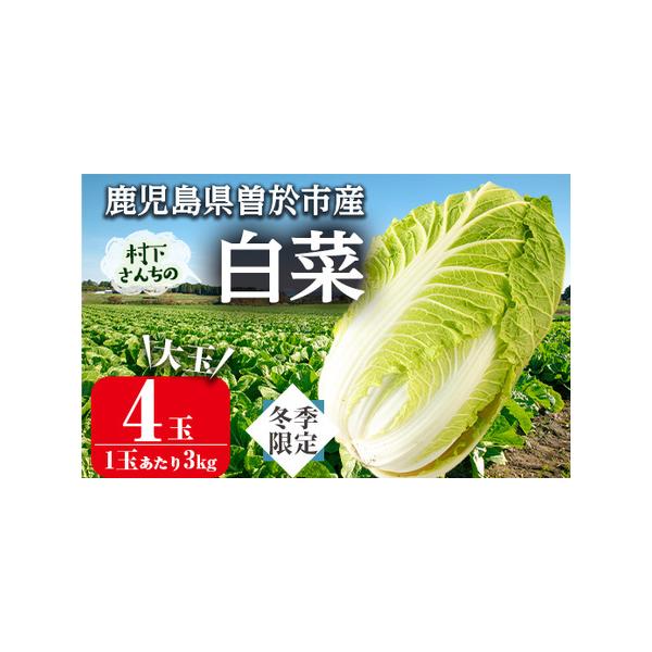 ■ 容量　曽於市産白菜 約3kg×4個■ 配送について　入金確認後、60日以内に発送予定　※お申込みが集中した場合や、年末年始（11月〜翌年2月）を含む繁忙期には、　通常よりもお届けまでにお時間をいただく場合がございます。あらかじめご了承く...