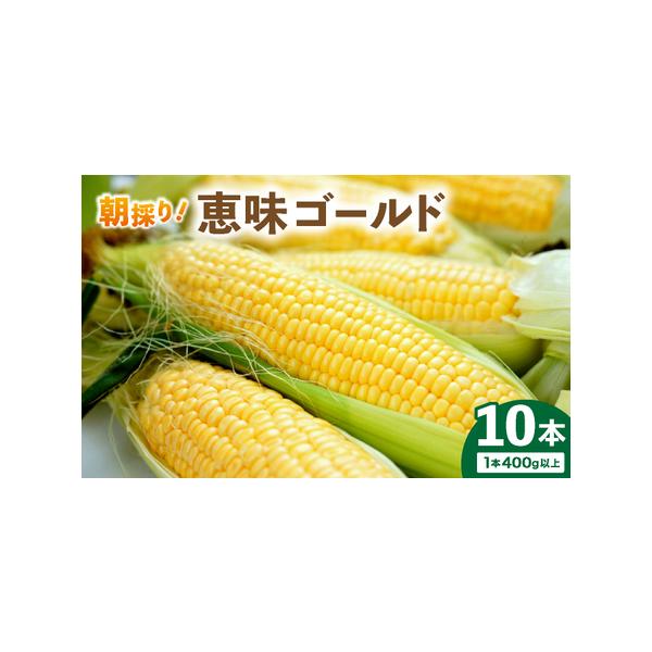 ■ 容量　スイートコーン10本入り（1本400g以上）　タイプ：【冷蔵】