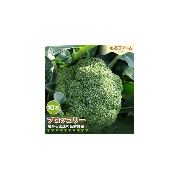 ■ 容量　【内容】　約3kg×1箱　　賞味期限：出荷日より5日　提供元：まるファーム■ 配送について　令和7年11月20日〜令和8年3月20日　タイプ：【冷蔵】