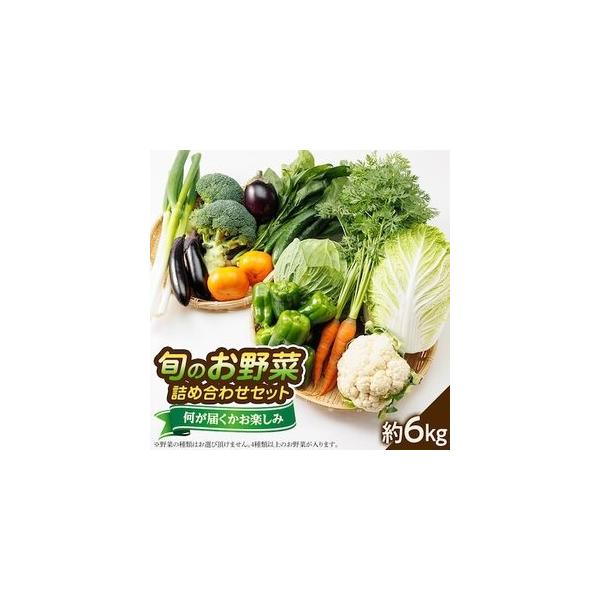 ■ 容量　※上記に記載■ 配送について　【1回目】発送月の前月末日までのお支払いで発送月中旬より順次発送【2回目以降】発送月中旬より順次発送　タイプ：【冷蔵】【定期】