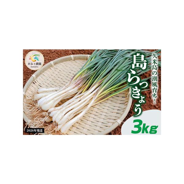 ■ 容量　島らっきょう 3kg　※お裾分け用の袋を1枚お付けします。■ 配送について　2026年1月中旬〜3月下旬　タイプ：【冷蔵】