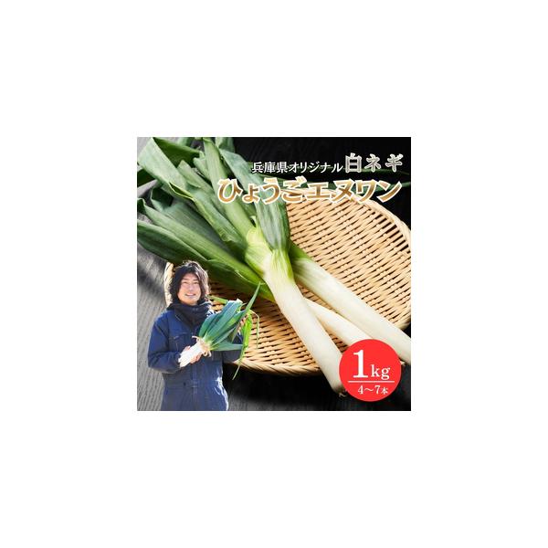 ■ 容量　兵庫県オリジナル白ネギ「ひょうごエヌワン」１kg　　兵庫県加西市産　■ 配送について　2026年1月上旬以降順次発送　　タイプ：【常温】