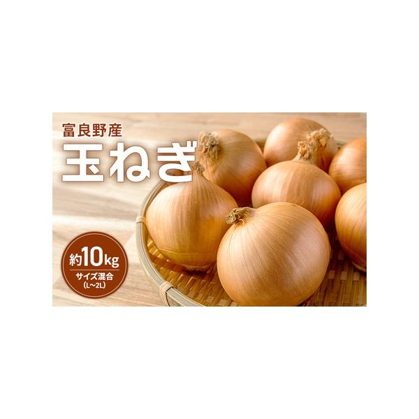 ■ 容量　富良野産 玉ねぎ 約10kg サイズ混合（L〜2L）　■ 配送について　2026年9月中旬〜10月末日まで　　タイプ：【常温】