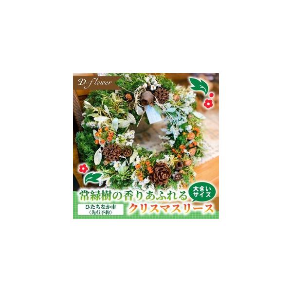 ■ 容量　※上記に記載■ 配送について　2026年11月より順次発送　タイプ：【常温】