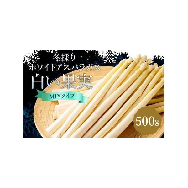 ■ 容量　冬採りホワイトアスパラガス「白い果実」 500g×1袋（約5人分）　※1本52g（3Lサイズ）〜22g（Lサイズ）のミックス　便利なレシピ付き■ 配送について　2026年2月上旬より順次発送予定　タイプ：【冷蔵】