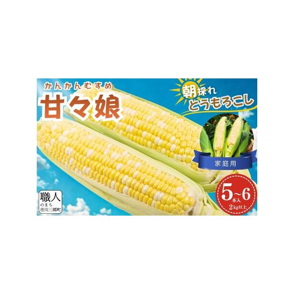■ 容量　【容量】　甘々娘（とうもろこし）　5〜6本入り　2kg以上　　【賞味期限】　ご到着後はお早めにお召し上がりください。■ 配送について　2026年6月中旬から順次発送　　＜配送について＞　・沖縄県は配送不可地域となります。　・返礼品...