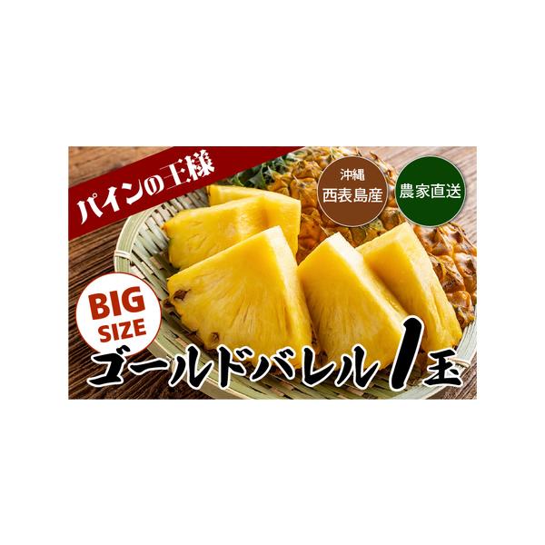 ■ 容量　数量1玉　内容量約1.5kg前後　　キャップ掛け　タグ付け　　ふるさと納税オリジナル化粧箱使用　タイプ：【常温】