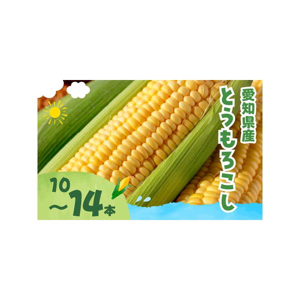 ■ 容量　●とうもろこし 10本〜14本　（品種おまかせ・規格外品）■ 配送について　お届け時期：6月〜8月頃（収穫状況により前後する場合があります）　※品種の指定はできません。　※規格外品のため、形や大きさにばらつきがあります。　※寄付申...