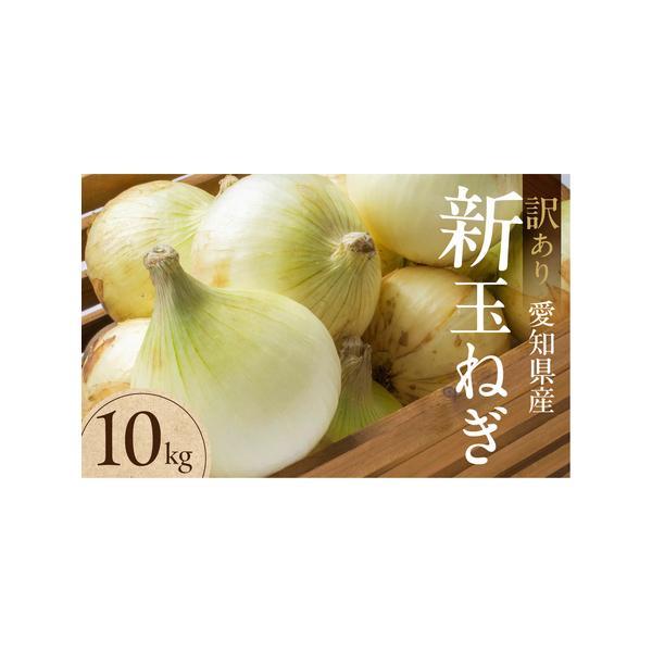 ■ 容量　●新玉ねぎ 大玉 10kg　（訳あり品：小傷・変形あり）■ 配送について　お届け時期：3月〜5月頃（収穫状況により前後する場合があります）　※訳あり品のため、表皮の傷・変形・サイズ不揃いが含まれます。　※寄付申込み後のキャンセル、...