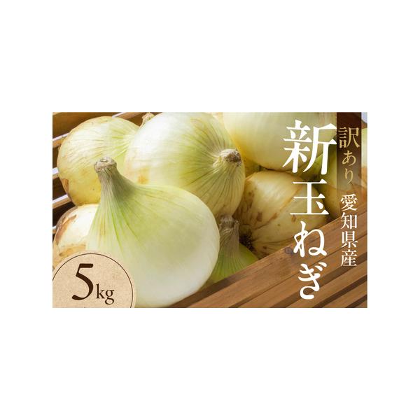 ■ 容量　●新玉ねぎ 大玉 5kg　（訳あり品：小傷・変形あり）■ 配送について　お届け時期：3月〜5月頃（収穫状況により前後する場合があります）　※訳あり品のため、表皮の傷・変形・サイズ不揃いが含まれます。　※寄付申込み後のキャンセル、返...