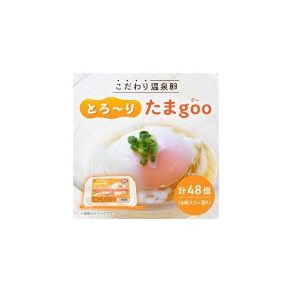 ふるさと納税 《とろ〜りたまgoo 48個》こだわり温泉卵(6個入り×8パック)【配送不可地域：離島】【1702137】 大阪府高石市