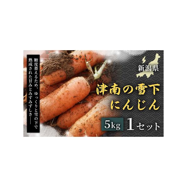 ■ 容量　津南の雪下にんじん 5kg 25本程度　　【賞味期限】発送日から14日程度　【保存方法】 要冷蔵　タイプ：【冷蔵】