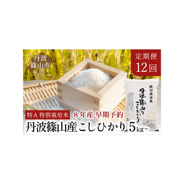 ふるさと納税 【12回定期便】〈R8年新米予約〉特A 特別栽培米 コシヒカリ 精米 5kg 定期便 兵庫県丹波篠山市