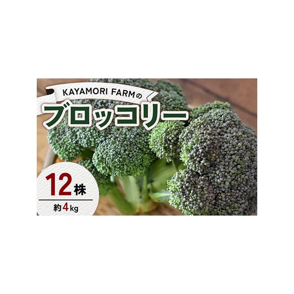 ■ 容量　ブロッコリー 12株（約4kg）■ 配送について　2026年5月下旬〜2026年6月下旬に順次発送　タイプ：【冷蔵】