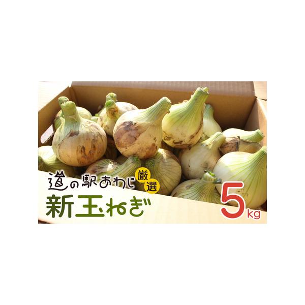 ■ 容量　5kg（15玉前後）　　　消費期限：約1週間　※到着後はなるべくお早めにお召し上がりください。　　配送方法：常温　■ 配送について　2026年5月頃（天候や収穫の状況により前後する場合がございます）　　タイプ：【常温】