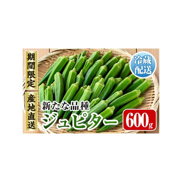■ 容量　600g■ 配送について　2026年7月下旬〜10月下旬の間に発送予定　タイプ：【冷蔵】