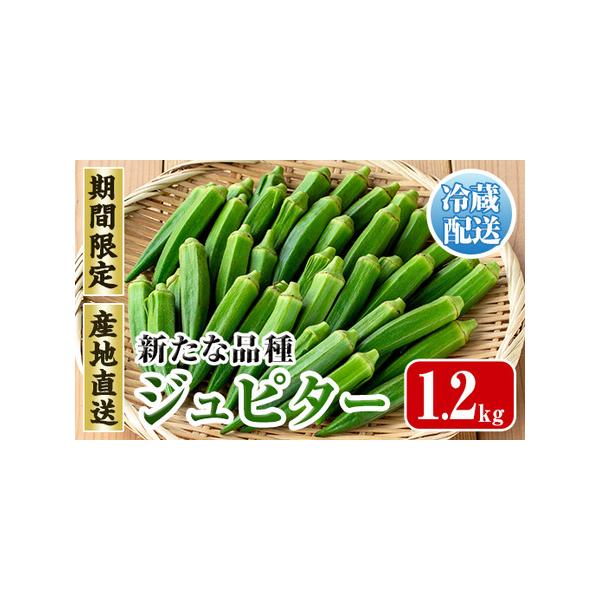 ■ 容量　1.2kg■ 配送について　2026年7月下旬〜10月下旬の間に発送予定　タイプ：【冷蔵】