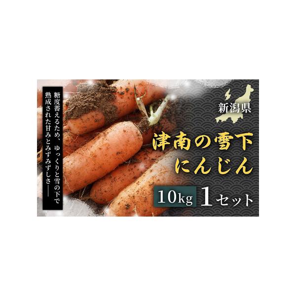 ■ 容量　津南の雪下にんじん 10kg 50本程度　賞味期限：発送日から14日程度　保存方法： 要冷蔵■ 配送について　2026/03/20以降順次発送（以降は申込後7日以内に発送）　タイプ：【冷蔵】