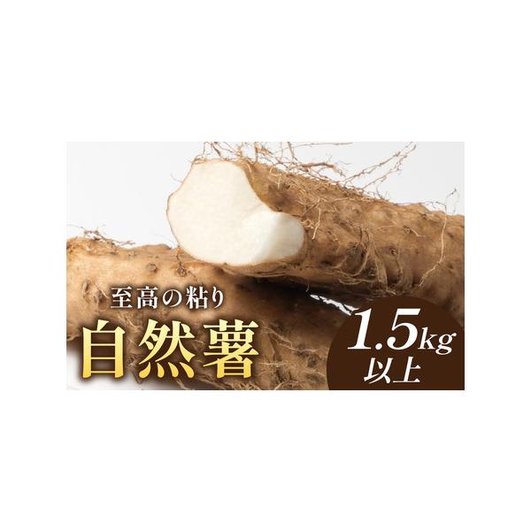 ■ 容量　□容量　自然薯　2〜4本　1.5kg以上　　□賞味期限　生物ですのでお早めにお召し上がりください■ 配送について　入金確認完了から10日前後で順次発送予定（土日祝・年末年始は除く）　※生産・天候・交通等の事情により遅れる場合があり...