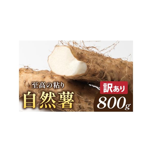 ■ 容量　□容量　自然薯カット　800g以上（サイズ不揃い）　　　□賞味期限　生物ですのでお早めにお召し上がりください■ 配送について　入金確認完了から10日前後で順次発送予定（土日祝・年末年始は除く）　※生産・天候・交通等の事情により遅れ...