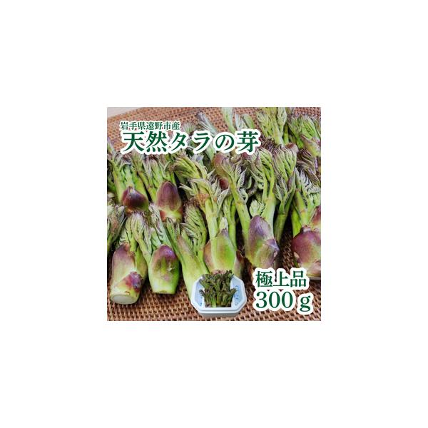 ■ 容量　天然タラの芽「もちタラ」極上品 300g　消費期限：発送から4日（要冷蔵保存）　　※画像はイメージです■ 配送について　※収穫に合わせて申込順でお送りいたします。　※発送予定時期に長期不在がある場合は備考欄にご記載ください。　※不...