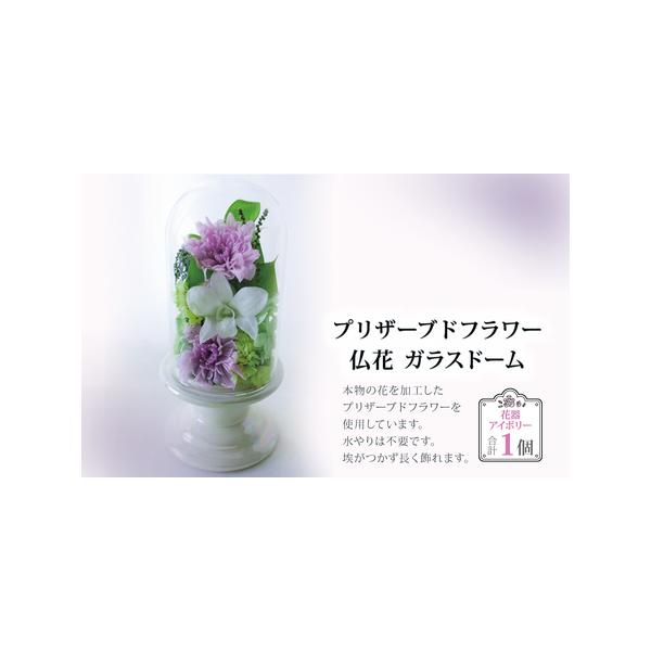 ■ 容量　プリザーブドフラワー仏花 （ガラスドーム小）　1個・サイズ：横 約8.5cm 奥行き 約8.5cm 高さ 約18cm（ドーム、花器含む）・花器：アイボリー■ 配送について　ご寄附納入の確認日から1か月以内を目安に返礼品をお送りいた...