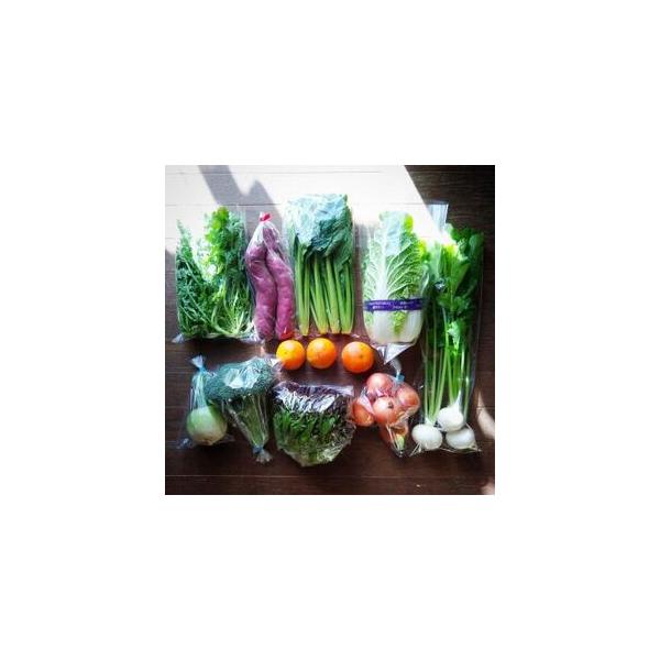 ■ 容量　※上記に記載■ 配送について　2026/05/18〜2026/06/29　タイプ：【冷蔵】