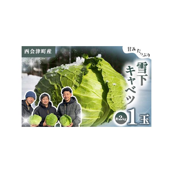 ■ 容量　【容量】　キャベツ 約2kg（1玉）　　【消費期限】　発送後7日程度■ 配送について　決済後10日以内に可能　※2026年2月1日から2月14日頃まで　タイプ：【冷蔵】