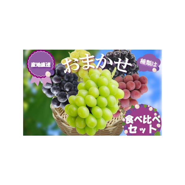 ■ 容量　・お試しセット約2kg（4〜6包）　※画像はイメージです。■ 配送について　2026年8月下旬から9月下旬の間に発送予定　※先行予約になりますので発送期日をご確認の上お申し込み下さい。　※なまものにつき、前後する場合がございます。...
