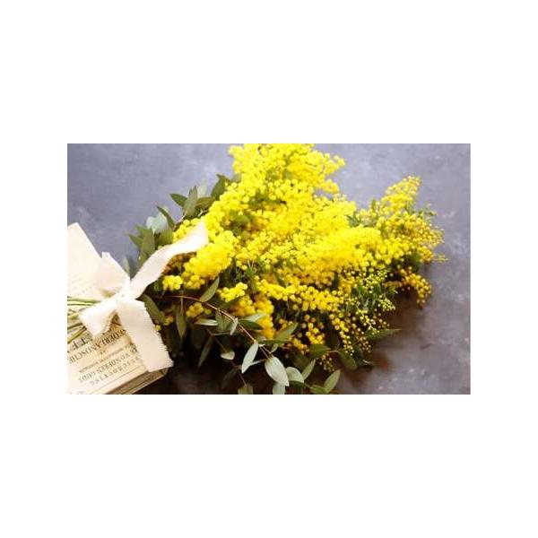 ■ 容量　・ミモザ：6〜7本程（30〜40cm程度）　・ユーカリ：数本　※束ねてスワッグにしてお届けします。　※花のボリュームにより本数は異なります。■ 配送について　2026年3月上旬〜4月上旬発送予定　※天候や発送状況により多少前後する...