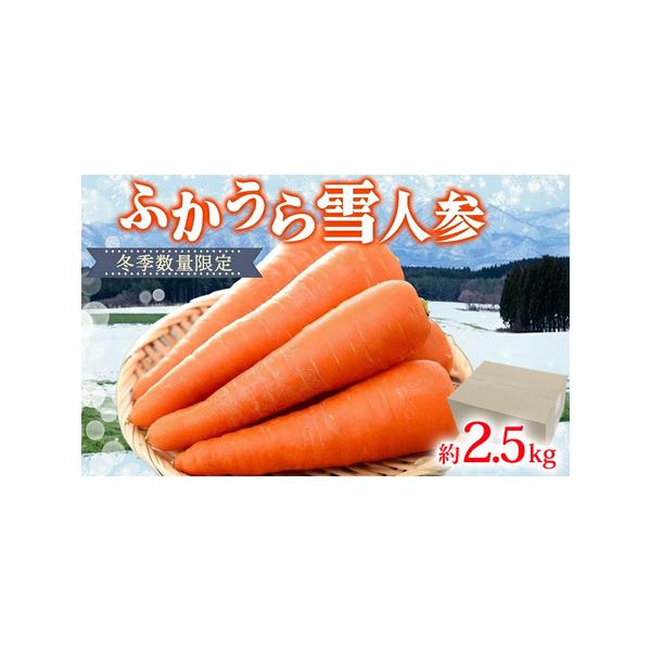 ■ 容量　ふかうら雪人参　約2.5kg　■ 配送について　2026年1月中旬〜2026年3月下旬　　タイプ：【常温】