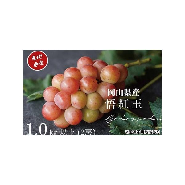 ■ 容量　悟紅玉　2房 合計1.0kg以上　岡山県内産（5条8号ハ）　※お届け日、時間の指定は申し訳ないですが、お受けできません。　※果物は大変傷みやすいです。受取後すぐにお品の状態をご確認ください。　※天候によりまれに種が入る事があります...