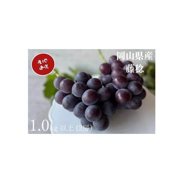 ■ 容量　藤稔　2房 合計1.0kg以上　岡山県内産（5条8号ハ）　※お届け日、時間の指定は申し訳ないですが、お受けできません。　※果物は大変傷みやすいです。受取後すぐにお品の状態をご確認ください。　※天候によりまれに種が入る事があります。...