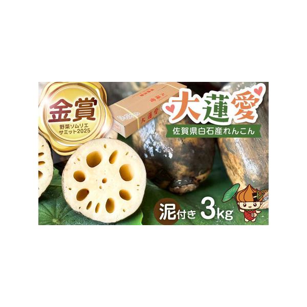 ■ 容量　泥付きれんこん：3kg　※大・中・小のサイズを組み合わせてお届けいたします。　※サイズや個数の指定は出来かねます。予めご了承ください。■ 配送について　2026年2月中旬-2月末頃まで順次発送　※年末発送は行っておりません。予めご...