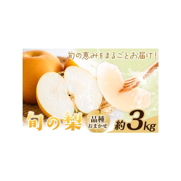 【先行予約】旬の梨 品種おまかせ 約3kg 日本フルーツ株式会社《2026年8月上旬-10月上旬頃出荷》熊本県 菊池市 梨 なし 豊水 秋月 .. 熊本県菊池市