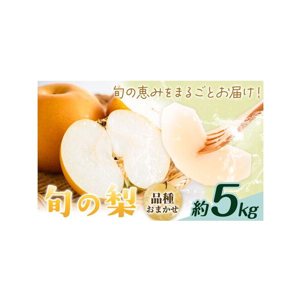 【先行予約】旬の梨 品種おまかせ 約5kg 日本フルーツ株式会社《2026年8月上旬-10月上旬頃出荷》熊本県 菊池市 梨 なし 豊水 秋月 .. 熊本県菊池市