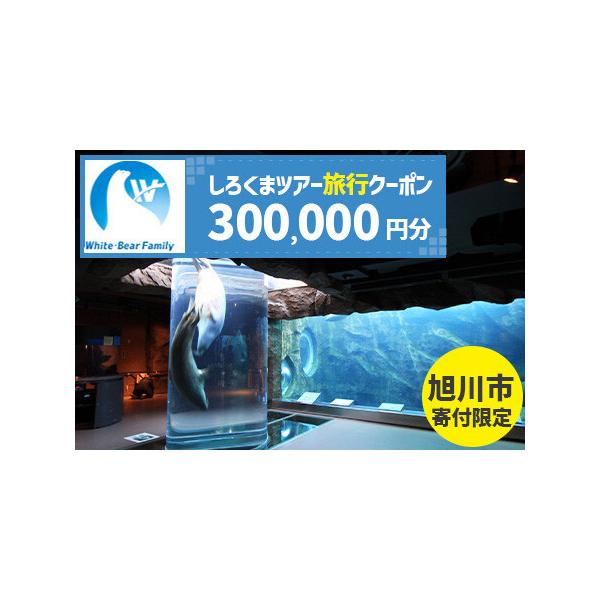 ■ 容量　300,000円分　【チケットご利用にあたってのご注意】　※有効期間は、発行日から2年です。有効期間内にご出発いただけるご旅行をご予約ください。　※クーポン内容の変更及びキャンセルはお受けできません。クーポンの払い戻し、換金、転売...