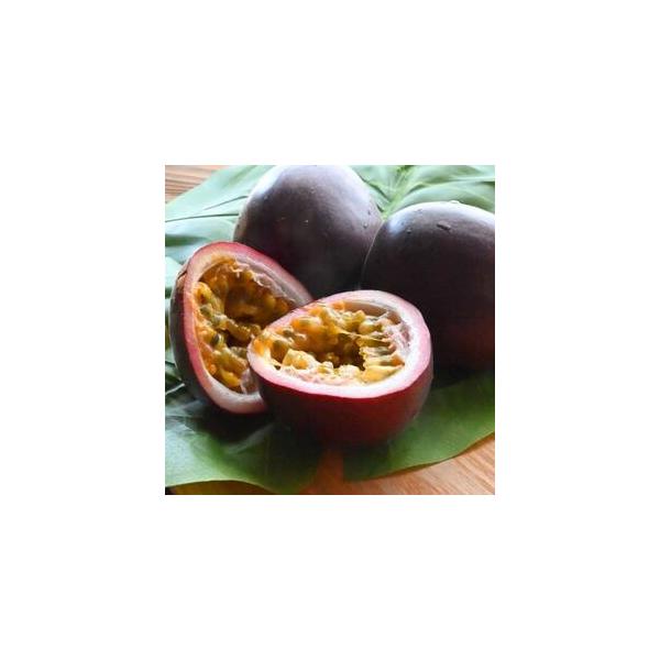 ■ 容量　※上記に記載■ 配送について　2026/06/01〜2026/07/10　タイプ：【常温】