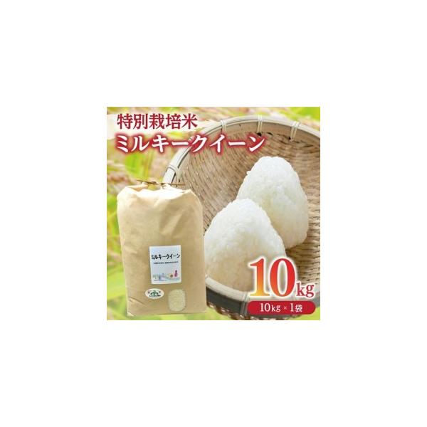 ふるさと納税 ミルキークイーン精米 10kg [ ミルキークイーン ] / 002310C 三重県松阪市