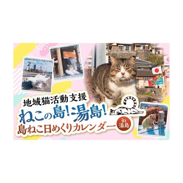 ふるさと納税 ＜ R8年熊本地震復興支援 ＞湯島ねこ募金 地域猫活動支援 【湯島猫部】ねこの島！湯島！ 「島ねこ日めくりカレンダーin湯島」 カ.. 熊本県上天草市
