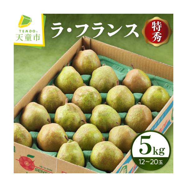 ふるさと納税 ラ・フランス 5kg 果物 洋梨 山形 ラフランス 山形県天童市