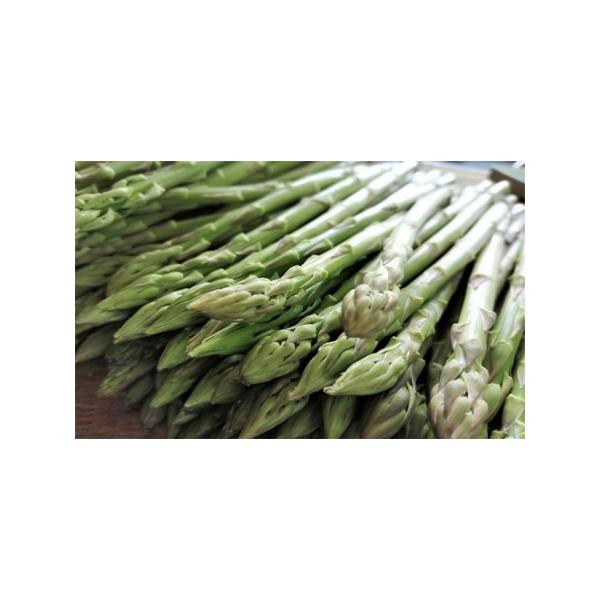 ■ 容量　訳ありアスパラ1kg（M〜L）　■ 配送について　2026年3月中旬〜9月下旬　　タイプ：【冷蔵】
