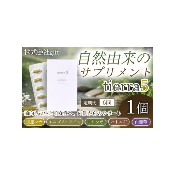 furunavi_1883939