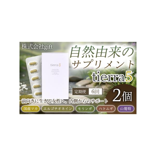 furunavi_1883948